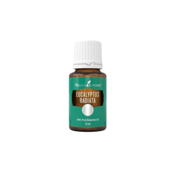 YoungLiving Öl Eucalyptus radiata