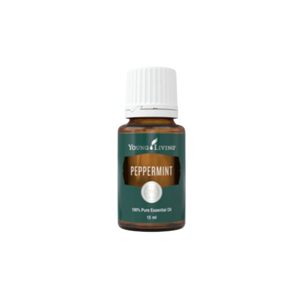 YoungLiving Öl Pfefferminze / Mentha piperita