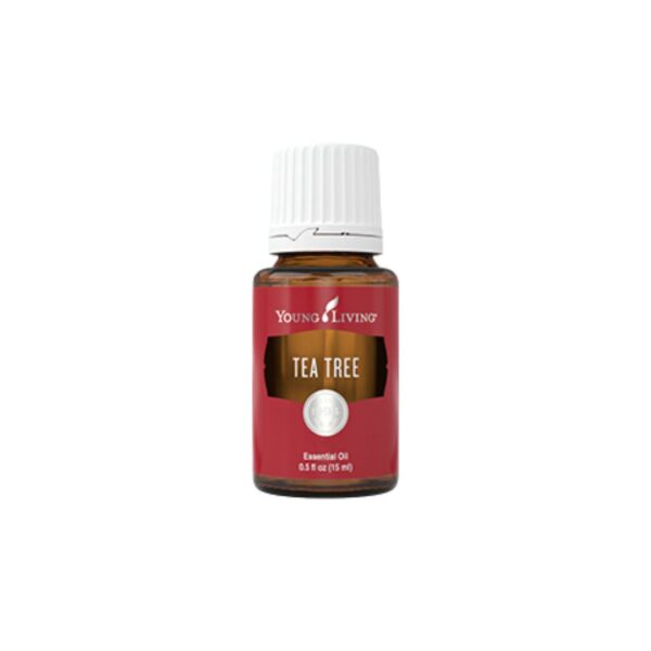 YoungLiving Öl Teebaum / Melaleuca alternifolia
